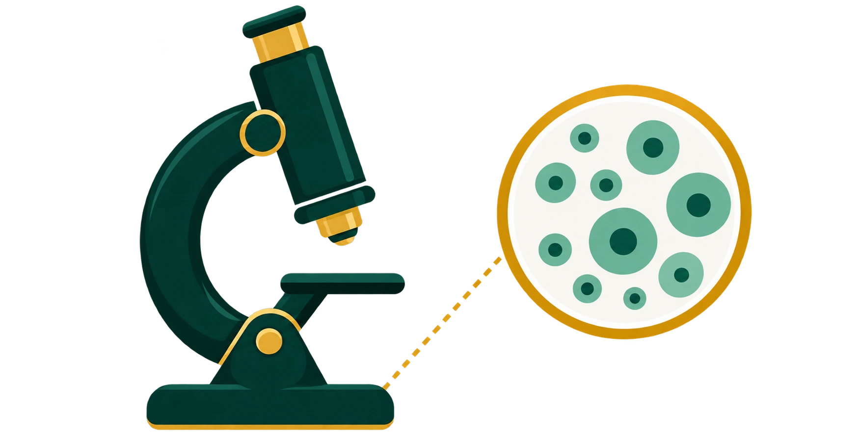 Microscope and magnified cells illustration for online cell counting.